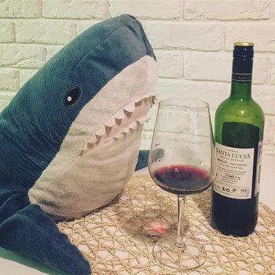 Pin by ~Jay D✨🥃🖤 on Галерея | Shark stuffed animal, Cute shark, Shark  plush