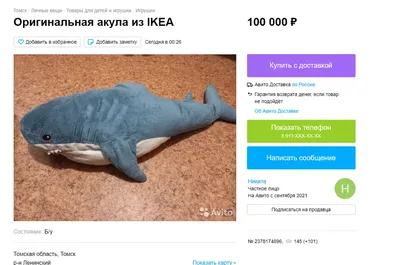 В Краснодаре продают акулу из IKEA за три миллиона рублей | ОБЩЕСТВО | АиФ  Краснодар