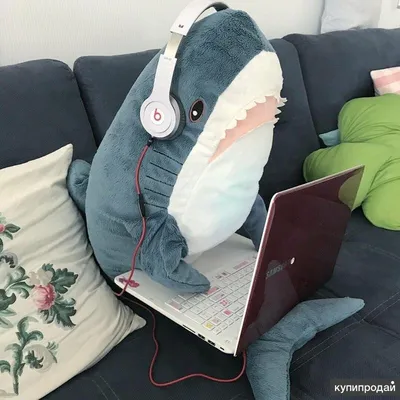 Pin by Lowo on Ikea shark / BLÅHAJ | Cute shark, Shark plush, Shark meme