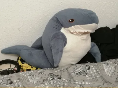 Pin by Lowo on Ikea shark / BLÅHAJ | Cute shark, Shark plush, Shark meme