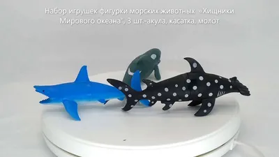 кит или голубая акула. морское хищное животное. морская жизнь.  гравированный рисунок. океанская рыба. вектор Иллюстрация вектора -  иллюстрации насчитывающей вытравливание, монохромный: 226224770