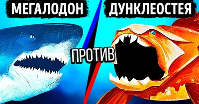 Большая акула Мегалодон Megalodon (ID#1048384122), цена: 1199 ₴, купить на  Prom.ua