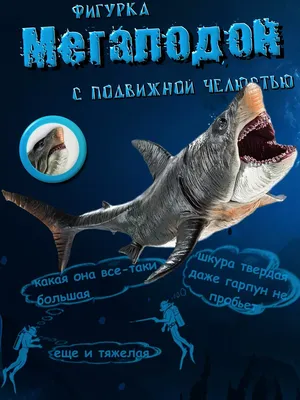 Мегалодон – Carcharodon megalodon – Рыбы – Динозавры