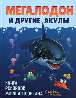 Мегалодон — самая крупная акула, когда-либо жившая на Земле, а также самый  большой морской хищник в истории планеты🦈😱 Мы подготовили для в… |  Instagram