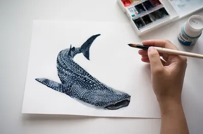 Акула - как да нарисувам картинка на акула - shark drawing for children,  sea animals coloring pages - YouTube