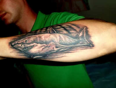 100 Magnificent Shark Tattoos ( The Biggest Gallery) - The Trend Scout |  Shark tattoos, Small shark tattoo, Small tattoos