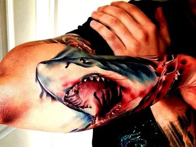 Shark Attack Half Sleeve tattoo – Itty Bits Designs