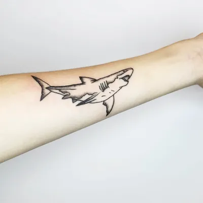 AKULA TATTOO | Kyiv