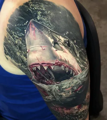 Shark tattoo by Sebastian Echeverria | Post 27342 | Shark tattoos, Black  tattoos, Animal tattoos