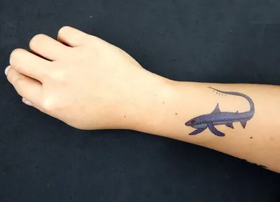 Great White Shark Tattoo | Realistic Temporary Tattoos – TattooIcon