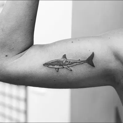 Shark Tattoo Ideas for Shark Week 2023 - Kings Avenue Tattoo