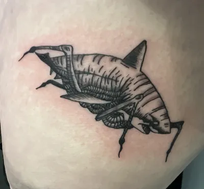 19 Shark Tattoo Ideas To Inspire Your Next Ink • Wild Hearted