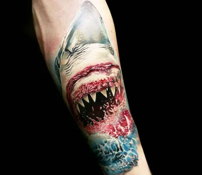 Just got my Gyo shark tattoo! : r/junjiito