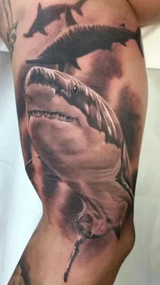 10 Best Shark Tattoo Ideas: Top Ideas For Shark Tattoos – MrInkwells