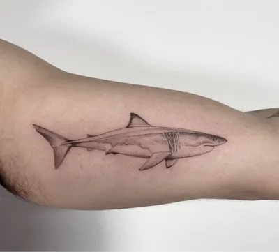 Shark Temporary Tattoo Sticker - OhMyTat