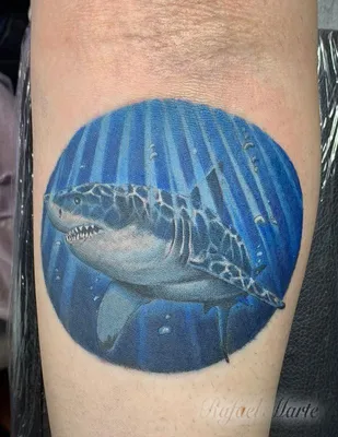 Replying to @lucy_swans0n this shark tattoo is called Mako 🦈🦈🦈 #sha... |  TikTok