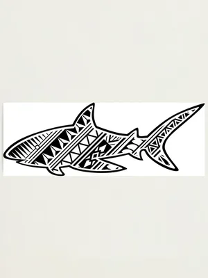 38 Popular and Meaningful Shark Tattoo Design Ideas (2021 Updated) | Hình  xăm, Xăm