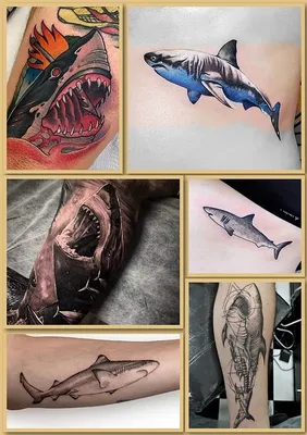 blacktip shark tattoo, swimming proudly on my client's skin. this aquatic  masterpiece pays homage to New Smyrna beach, the shark bite… | Instagram