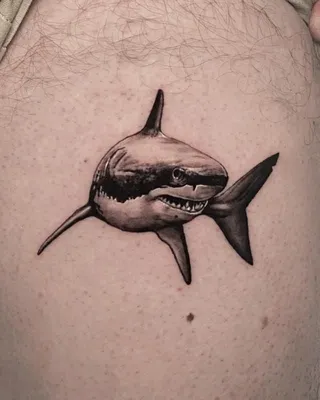 55+ Best Shark Tattoos | Shark tattoos, Traditional shark tattoo, Small  shark tattoo