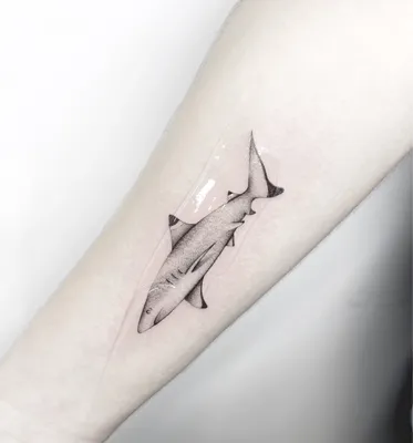 Shark Tattoo, Traditional Shark Tattoo, Simple Shark Tattoo, Shark Tattoo  Ideas, Tiger Shark Tattoo | Shark tattoos, Tiny tattoos for girls, Small  shark tattoo