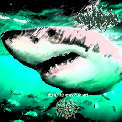 albino cyclopse shark｜TikTok Search