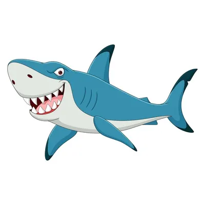 Акула: векторные изображения и иллюстрации, которые можно скачать бесплатно  | Freepik