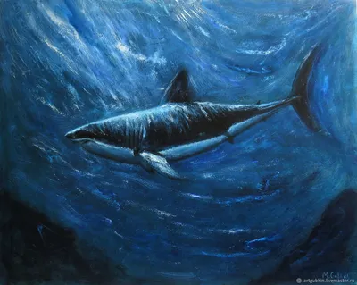Акула. Подводный мир – купить онлайн на Ярмарке Мастеров – OZUTIRU |  Картины, Москва