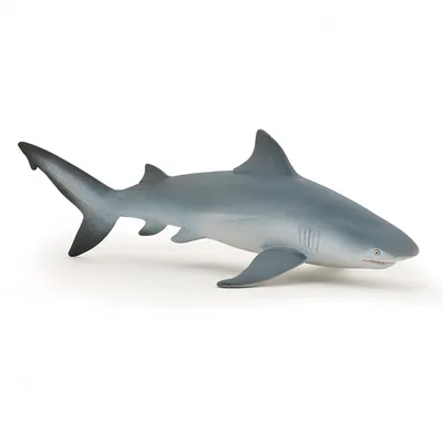 Фигурка Бычья акула Papo 56044 — купить в фирменном магазине Papo