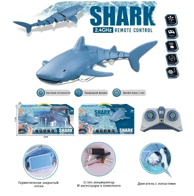 Купить Акула на радиоуправлении Shark, цена 777 грн — Prom.ua  (ID#1601745176)