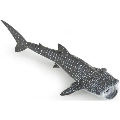 Фигурка PAPO Китовая акула - купить по лучшей цене в интернет-магазине  детских игрушек SunnyToy!