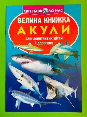 У Нью-Йорку акула напала на 65-річну українку під час купання