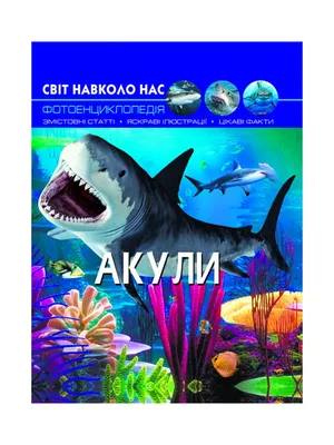 Чоловік вижив після п'яти укусів акули - чи могли його врятувати дельфіни?  - Bituk Media