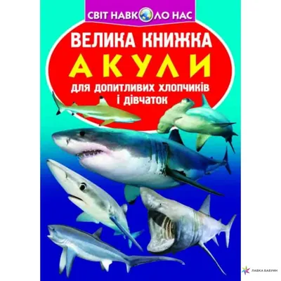 Океанські види акул, з якими найцікавіше пірнати (фото)