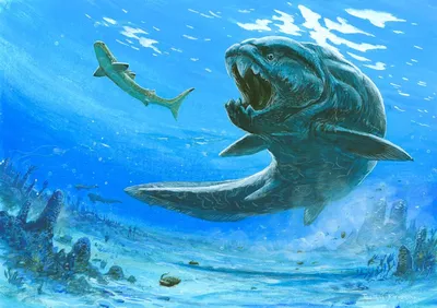 Дунклеостей (Dunkleosteus) – девонский ужас с огромной пастью. |  Paleo-end-arthropods (Доисторическая фауна и членистоногие) | Дзен