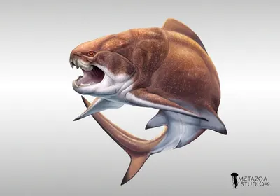 Дунклеостей (Dunkleosteus) – девонский ужас с огромной пастью. |  Paleo-end-arthropods (Доисторическая фауна и членистоногие) | Дзен