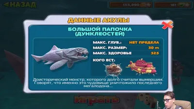 Косатка | Hungry Shark World вики | Fandom