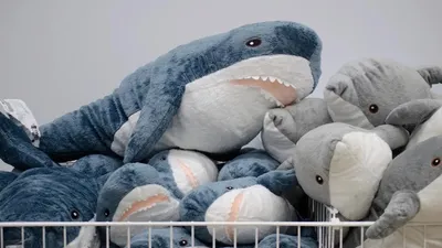 What kind of Ikea Shark is this, ive had it for more than a decade i know  that. : r/BLAHAJ