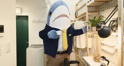 Welp I own an ikea shark now he is huge : r/sharks