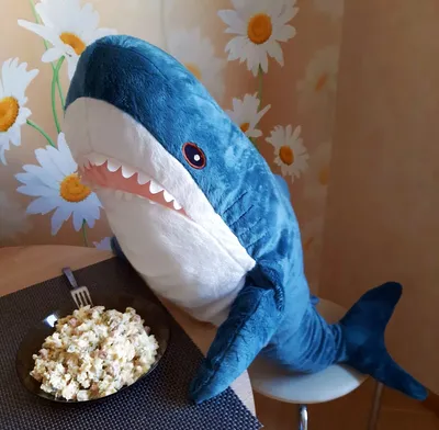 Pin by Lowo on Ikea shark / BLÅHAJ | Cute shark, Shark plush, Shark meme