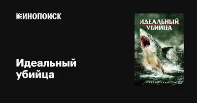 Как бальзамируют акулу, напавшую на архангелогородца Владимира Попова в  Египте - 14 июня 2023 - 29.ru