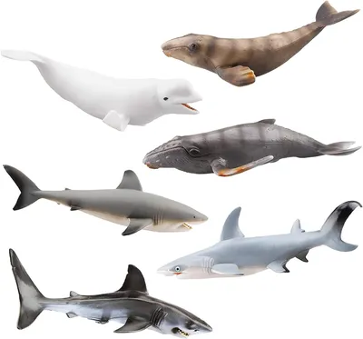 Купить Развивающий набор мини фигурки Акулы и киты (6 шт) от Toymany, цена  2363 грн — Prom.ua (ID#1651848815)