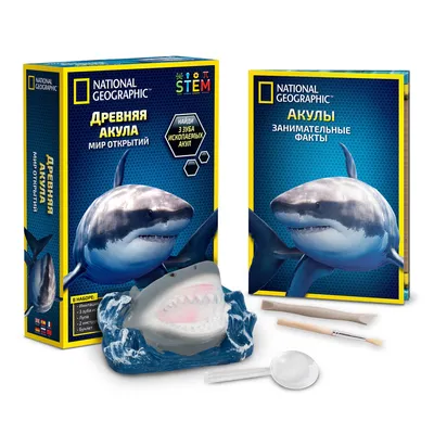 National Geographic Игровой-набор Откопай зубы акулы 36030