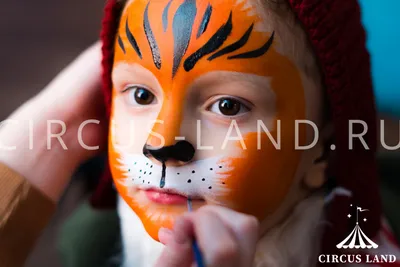 Stunning Half-Face Tiger Face Paint