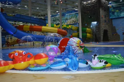 Барнаульский аквапарк, Барнаул. Фото, видео, официальный сайт, цены 2023,  режим работы, отзывы, отели, аттракционы, как добраться — Туристер.ру