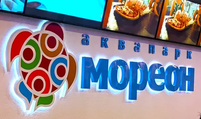 Сходили в аквапарк «Мореон». Как провести отличный выходной с пользой для  души и тела за 3150 рублей | Оптимистка-путешественница.ру | Дзен