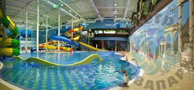 Барнаульский аквапарк, Барнаул. Фото, видео, официальный сайт, цены 2023,  режим работы, отзывы, отели, аттракционы, как добраться — Туристер.ру