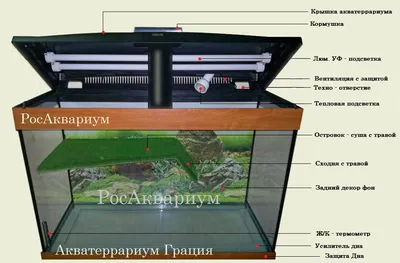 Панорамный террариум для красноухих черепах | Аквариум по размерам