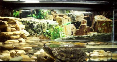 Аквариум для водных черепах Биодизайн Turt-House Aqua 120 (170 литров). Без  светильника. Без тумбы.