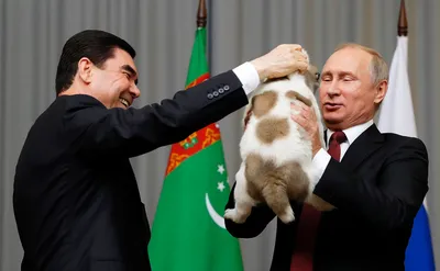 Президент Туркмении подарил Путину алабая — РБК