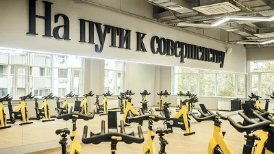 Alex Fitness / Алекс Фитнес» - сеть фитнес-клубов - «Alex Fitness  Левенцовка - подробный обзор с фото, все плюсы и минусы. Что взять с собой?  Какие правила посещения? И почему, спустя полтора